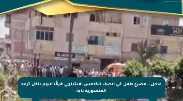 عاجل.. مصرع طفل في الصف الخامس الابتدائي غرقًا اليوم داخل ترعة المنصورية بأجا